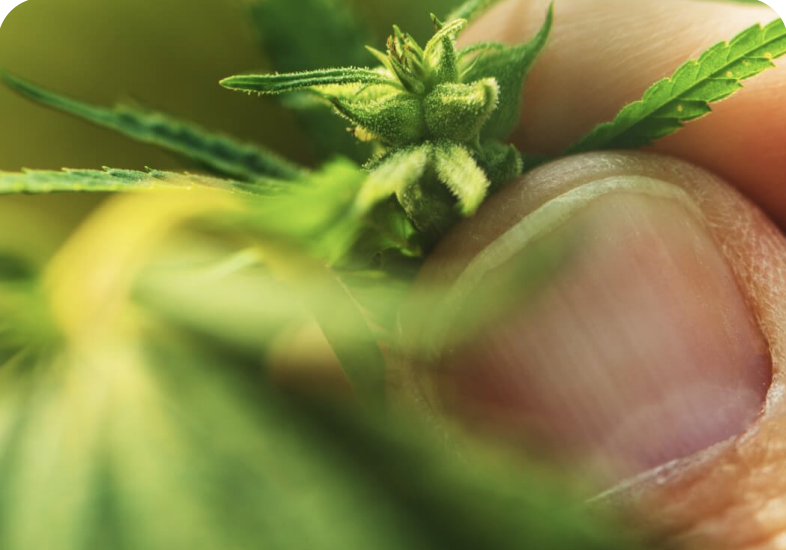 Screenshot-2022-12-14-at-2.16.12-PM